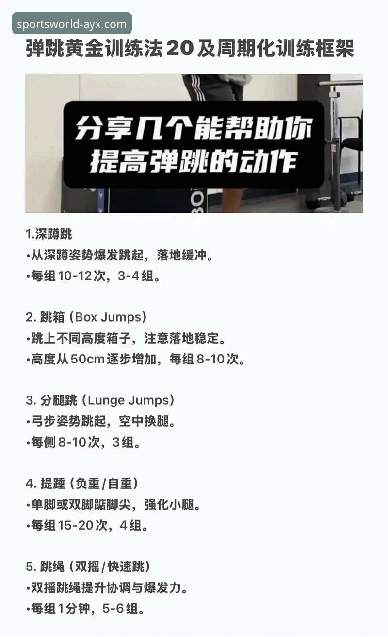 掌握AYX体育平台手机版的3个核心步骤与5个高效技巧