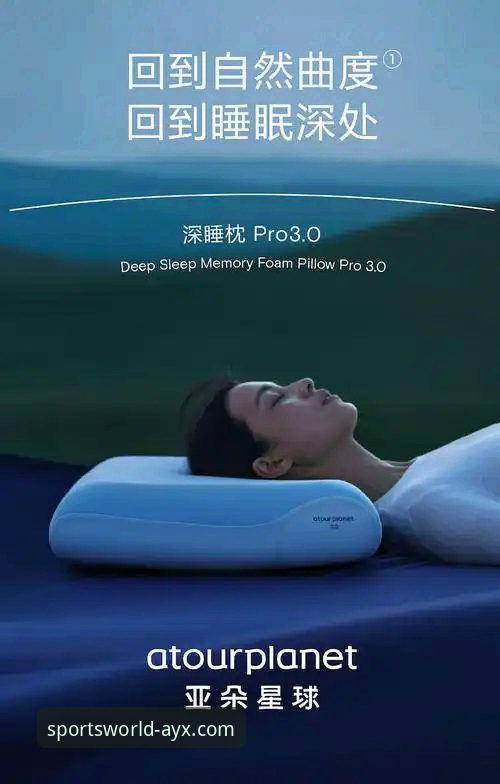 AYX体育平台网页版深度体验与使用指南